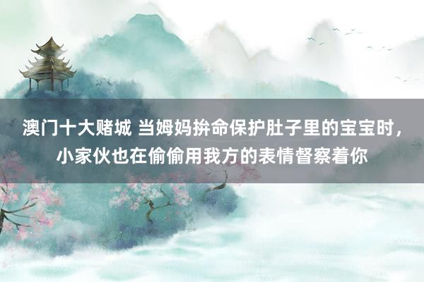 澳门十大赌城 当姆妈拚命保护肚子里的宝宝时，小家伙也在偷偷用我方的表情督察着你