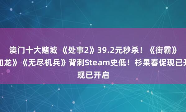 澳门十大赌城 《处事2》39.2元秒杀！《街霸》《如龙》《无尽机兵》背刺Steam史低！杉果春促现已开启