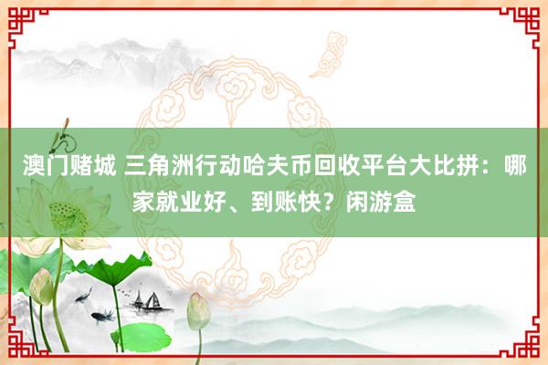 澳门赌城 三角洲行动哈夫币回收平台大比拼：哪家就业好、到账快？闲游盒