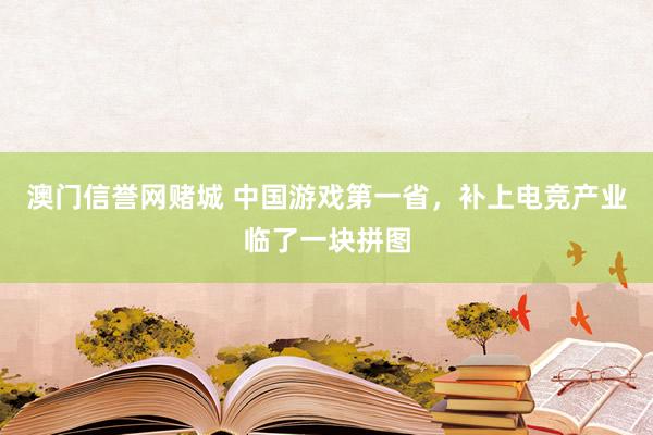 澳门信誉网赌城 中国游戏第一省，补上电竞产业临了一块拼图