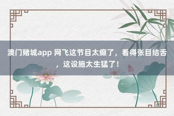 澳门赌城app 网飞这节目太癫了，看得张目结舌，这设施太生猛了！