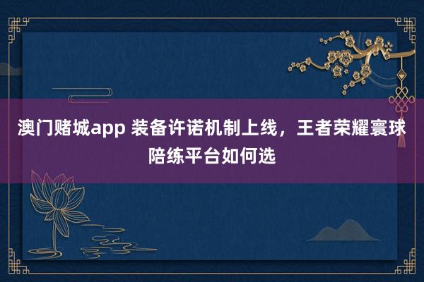 澳门赌城app 装备许诺机制上线，王者荣耀寰球陪练平台如何选