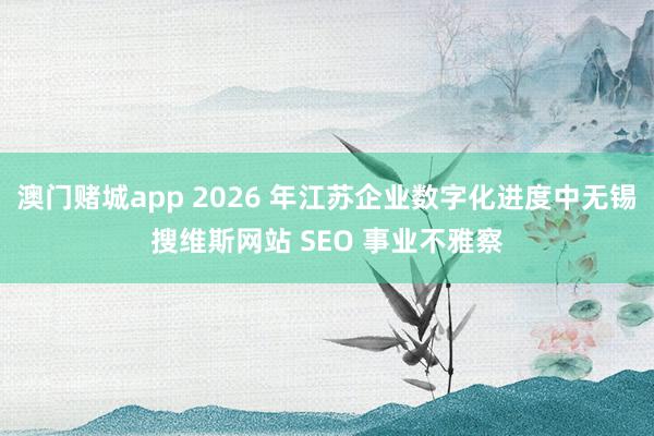 澳门赌城app 2026 年江苏企业数字化进度中无锡搜维斯网站 SEO 事业不雅察