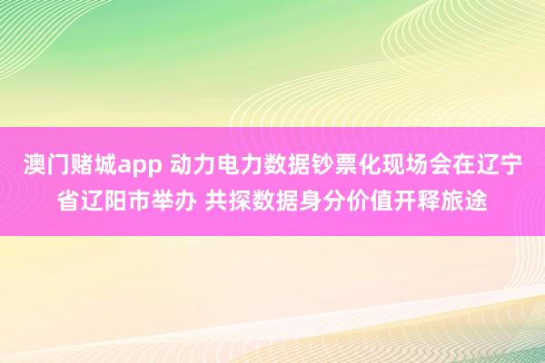 澳门赌城app 动力电力数据钞票化现场会在辽宁省辽阳市举办 共探数据身分价值开释旅途
