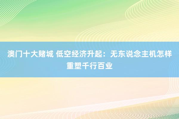 澳门十大赌城 低空经济升起：无东说念主机怎样重塑千行百业
