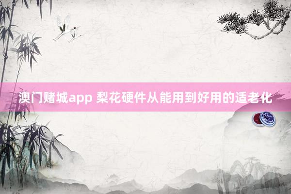 澳门赌城app 梨花硬件从能用到好用的适老化