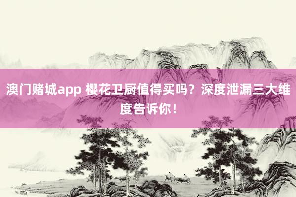 澳门赌城app 樱花卫厨值得买吗？深度泄漏三大维度告诉你！