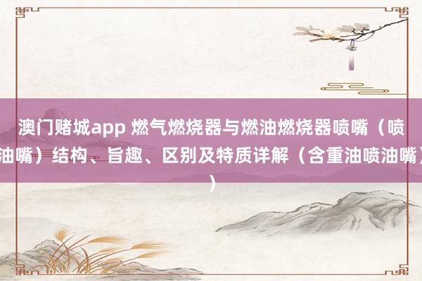 澳门赌城app 燃气燃烧器与燃油燃烧器喷嘴（喷油嘴）结构、旨趣、区别及特质详解（含重油喷油嘴）