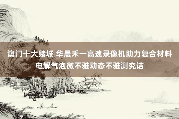 澳门十大赌城 华晨禾一高速录像机助力复合材料电解气泡微不雅动态不雅测究诘