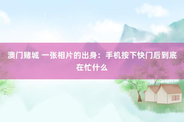 澳门赌城 一张相片的出身：手机按下快门后到底在忙什么