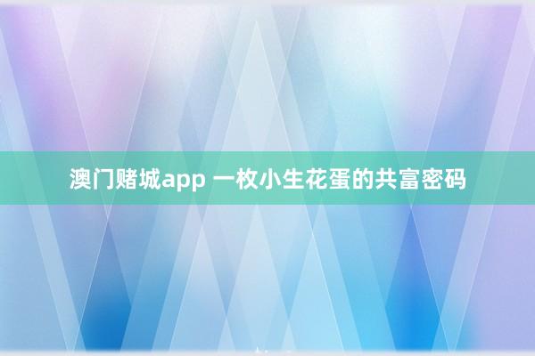 澳门赌城app 一枚小生花蛋的共富密码