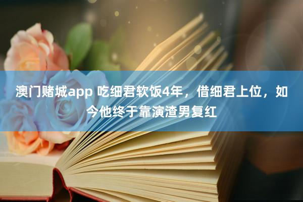 澳门赌城app 吃细君软饭4年，借细君上位，如今他终于靠演渣男复红