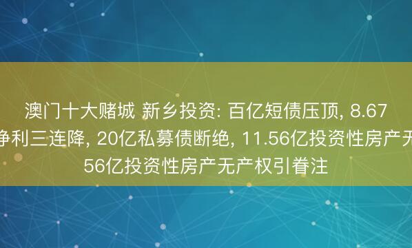 澳门十大赌城 新乡投资: 百亿短债压顶， 8.67亿补助难抵净利三连降， 20亿私募债断绝， 11.56亿投资性房产无产权引眷注